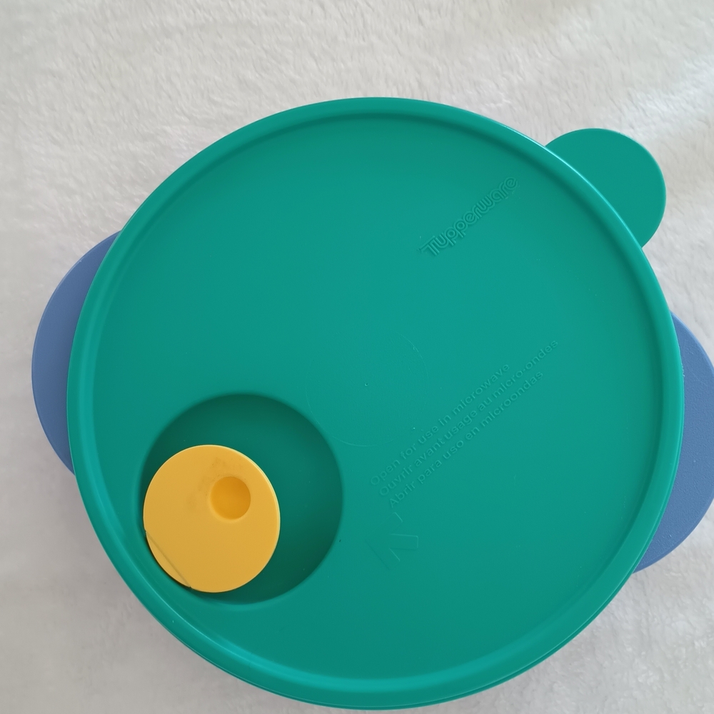 Tupperware Green and Blue Lid with Yellow Accent